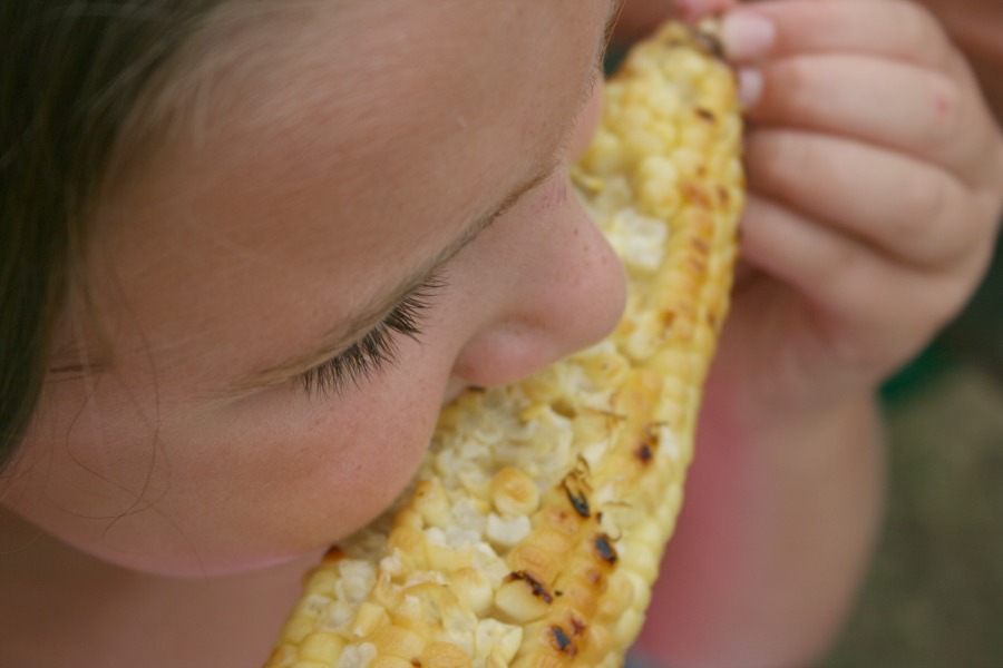 corn closeup