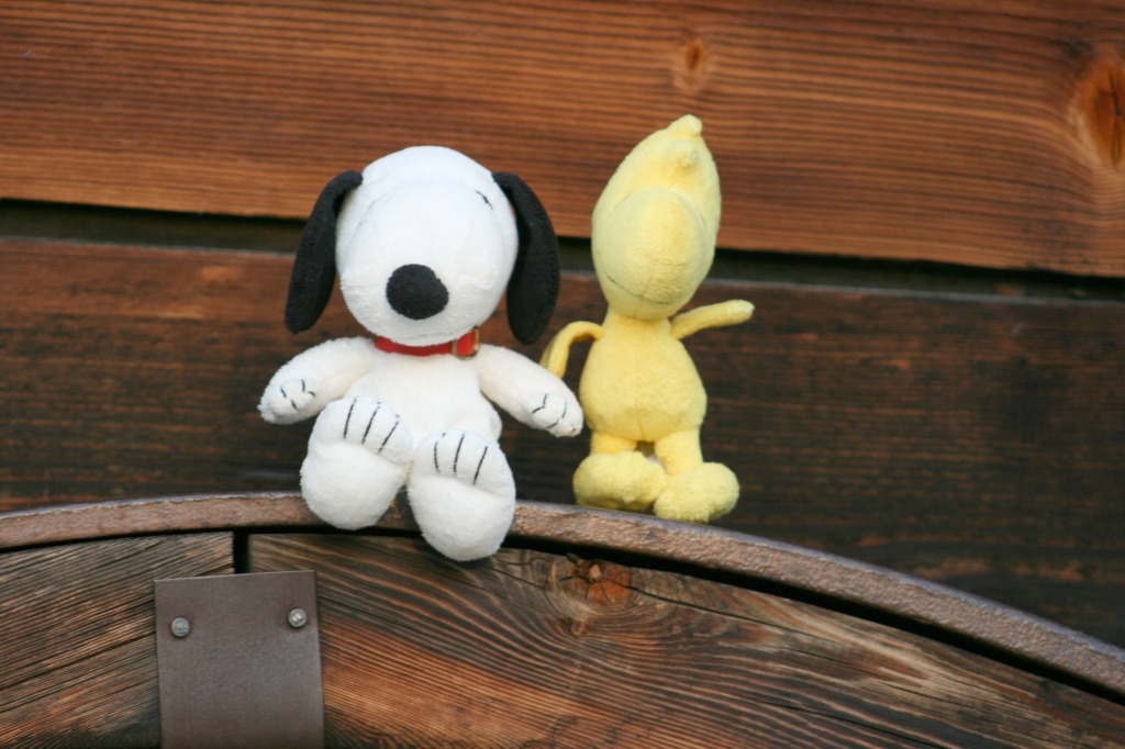 snoopy and woodstock