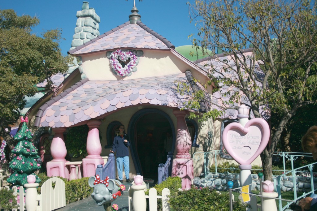 Minnie's House 2