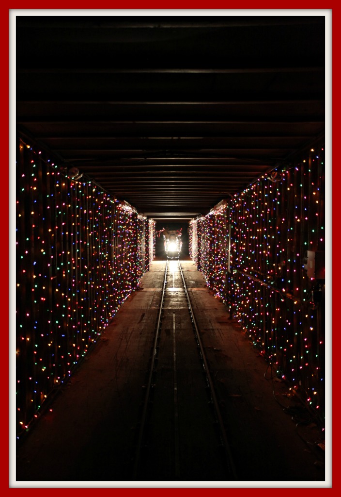 Train in the Tunnel of Lights