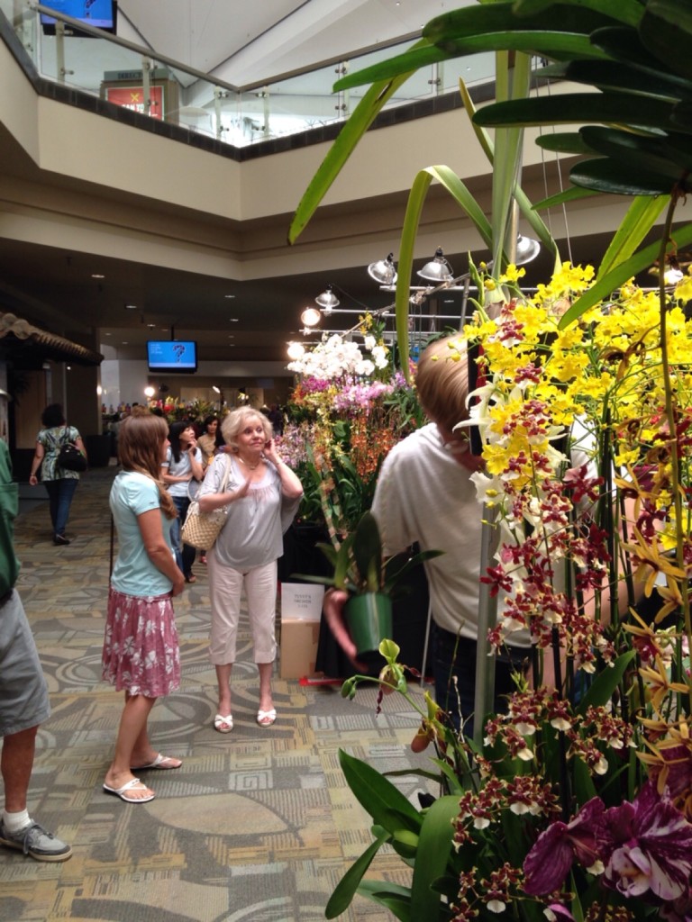 Orchid Show 1