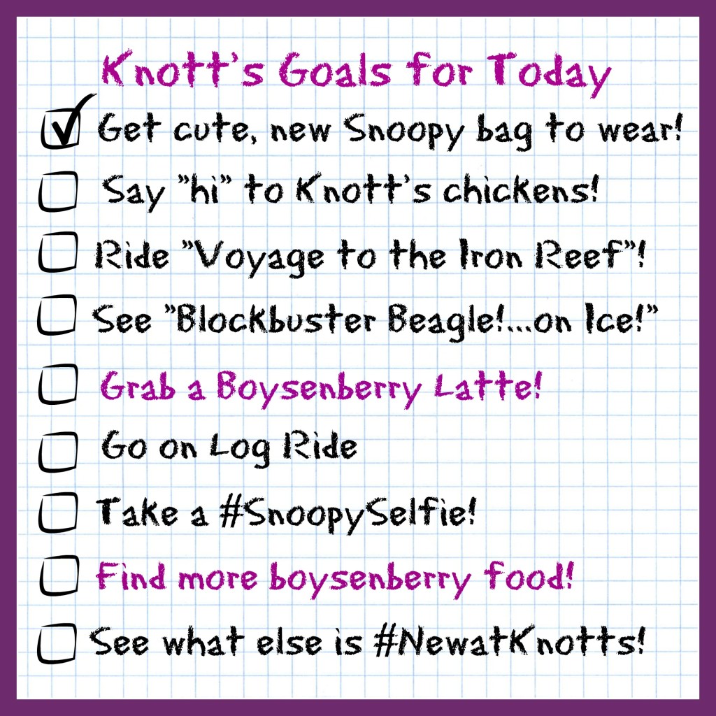 knotts-goals-for-today
