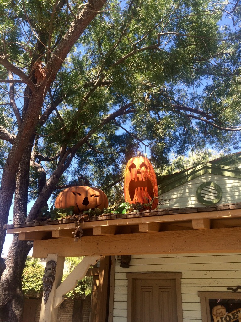 pumpkins-at-knotts
