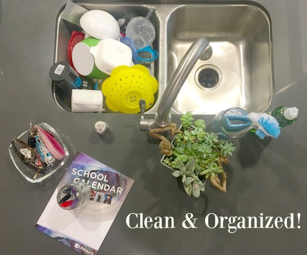 clean-and-organized-sink-area