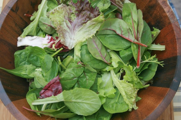 bountiful-harvest-salad-greens