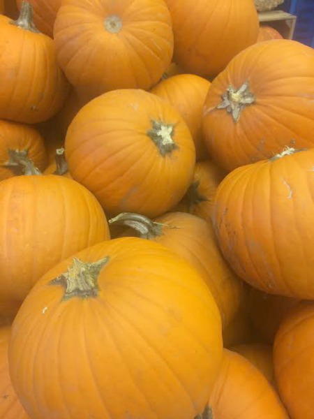 pumpkins