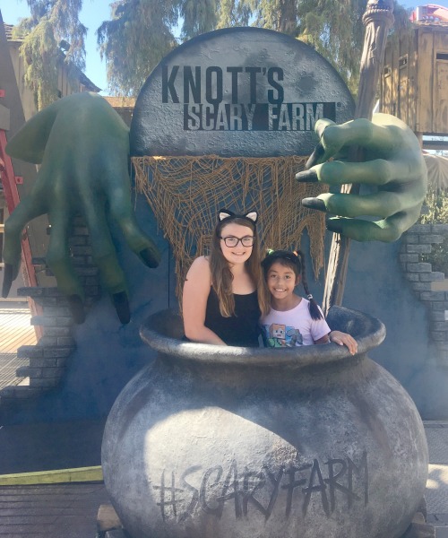 knotts-spooky-farm-cauldron