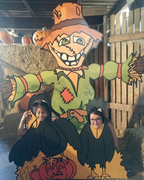 knotts-spooky-farm-maze-photo