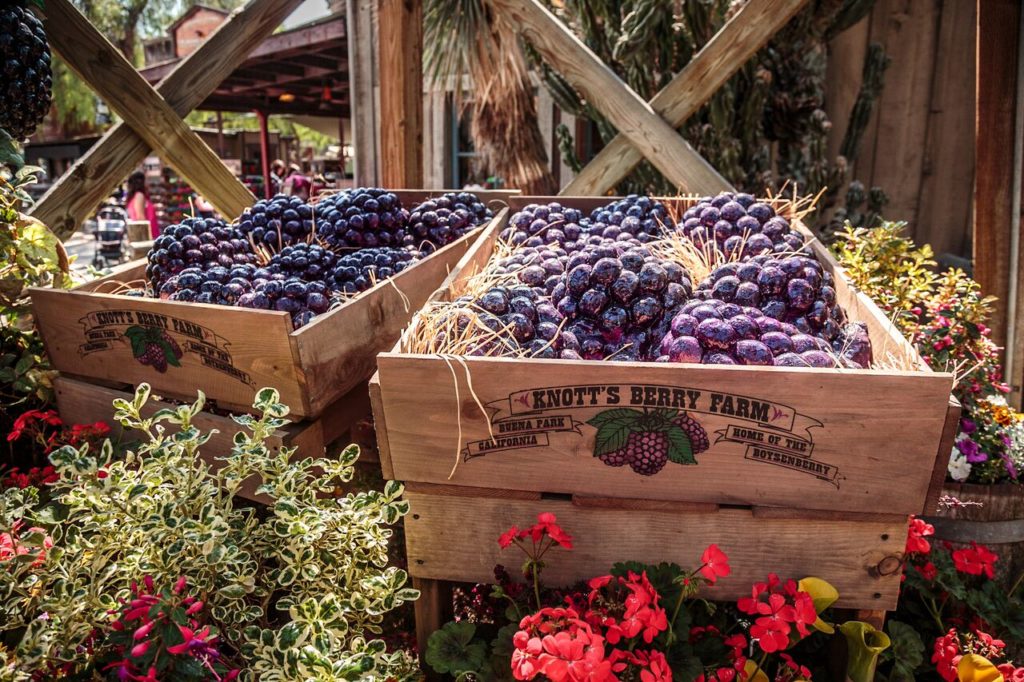 knotts-boysenberry-festival-boysenberry-cart