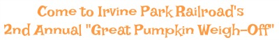 pumpkin-weigh-off