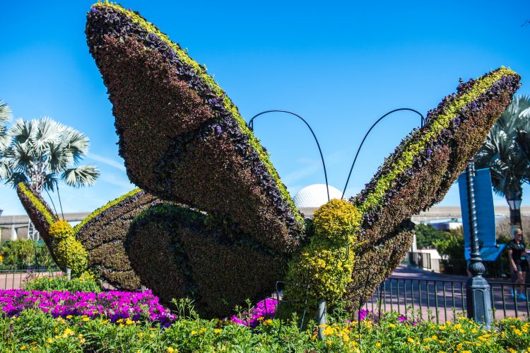 epcot-flower-and-garden-festival-butterfly-topiary