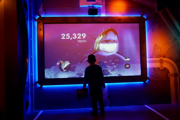 SeaLife Aquarium exhibits.(Photo by Sandy Huffaker/Legoland)